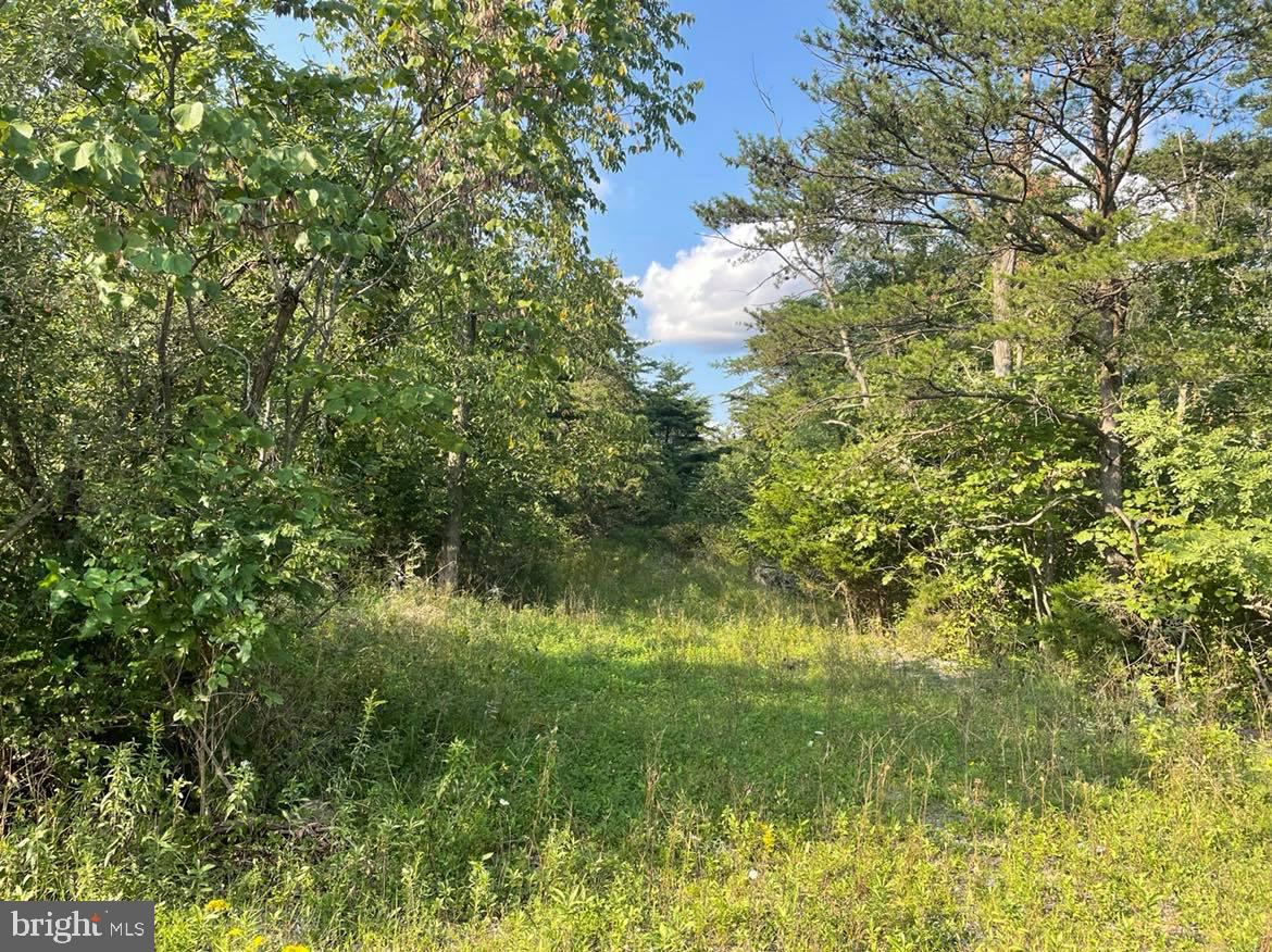 APPLE ORCHARD ACRES - Land