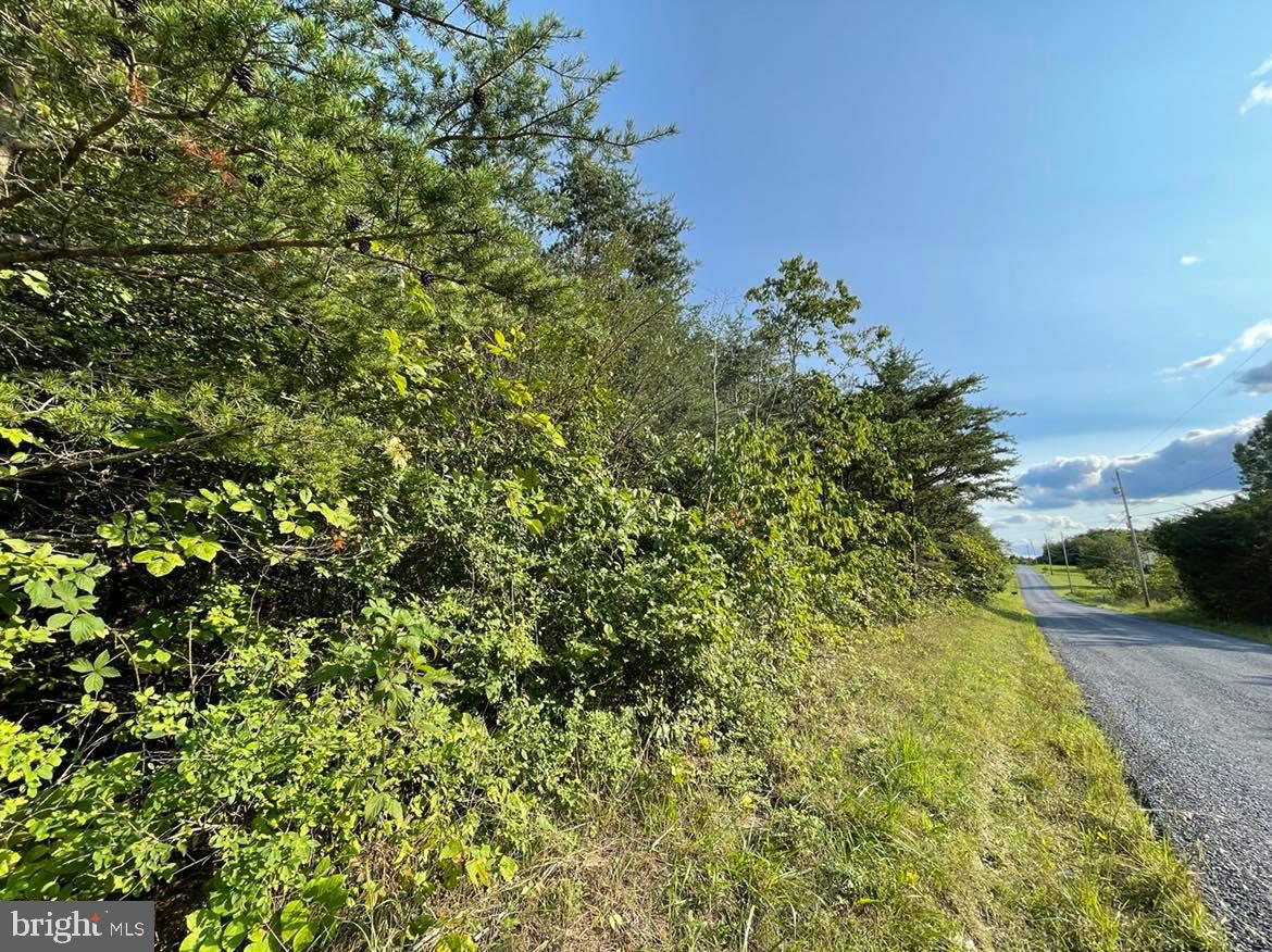 APPLE ORCHARD ACRES - Land