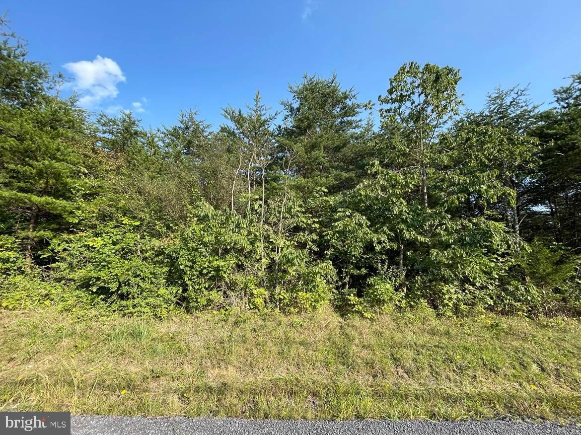 APPLE ORCHARD ACRES - Land