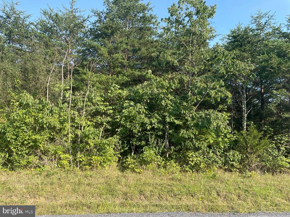 APPLE ORCHARD ACRES - Land