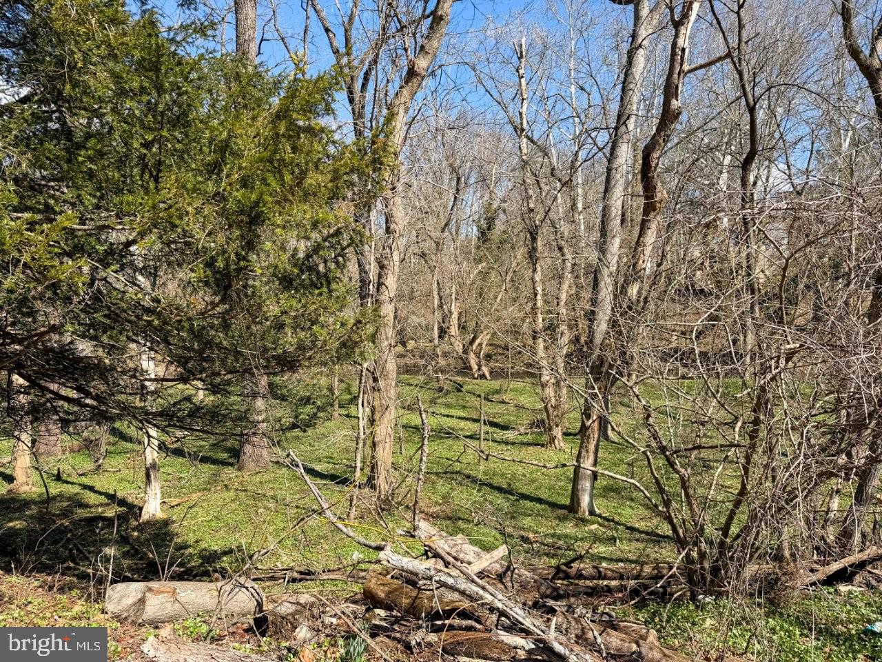 COLONIAL PARK - Residential