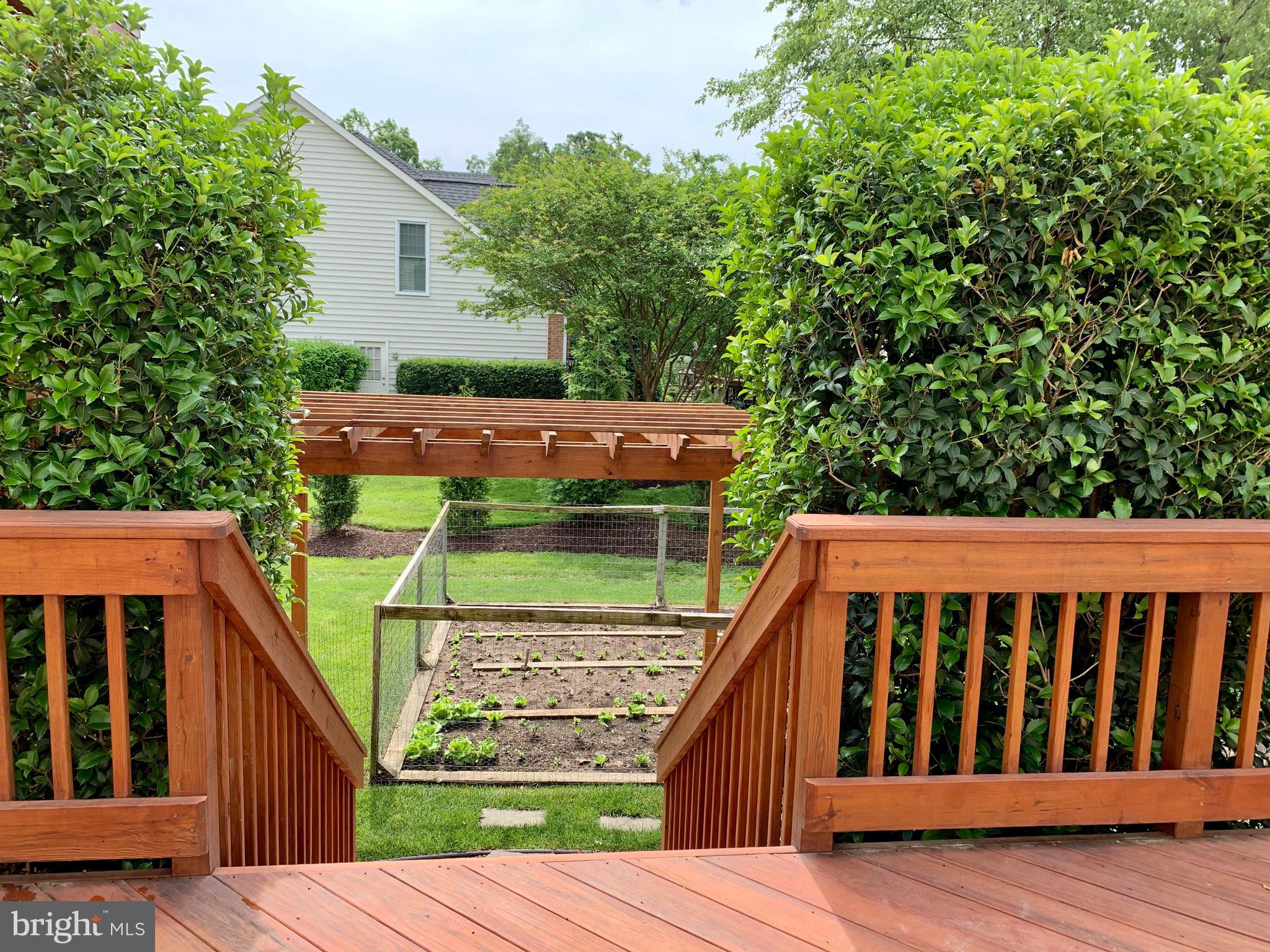 DUFIEF MILL - Residential