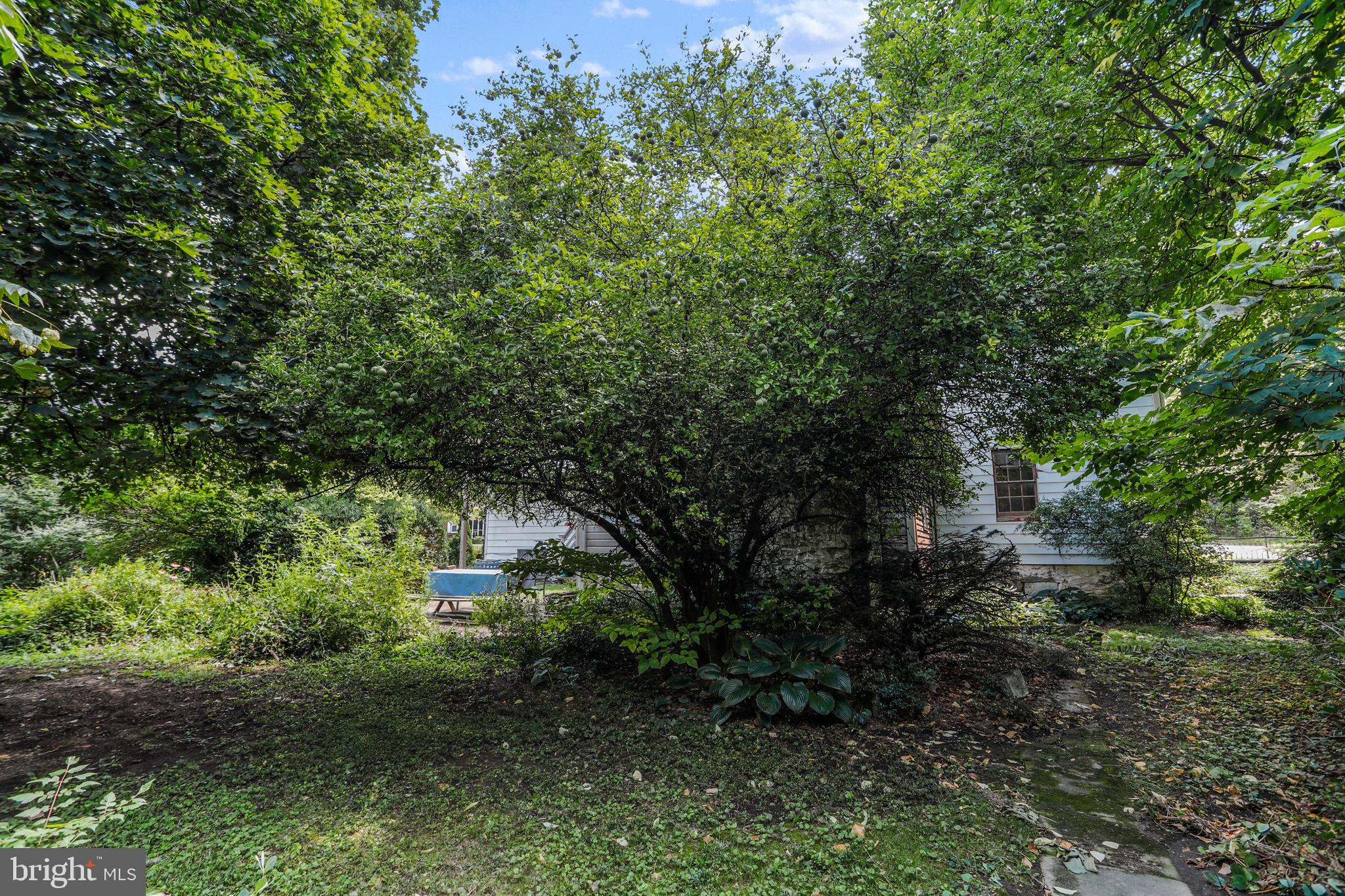 LEITERSBURG - Residential