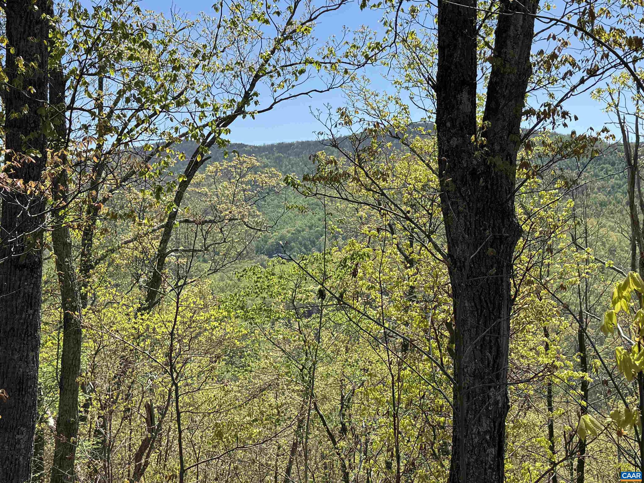 Lot#5 FOX RIDGE LN 5