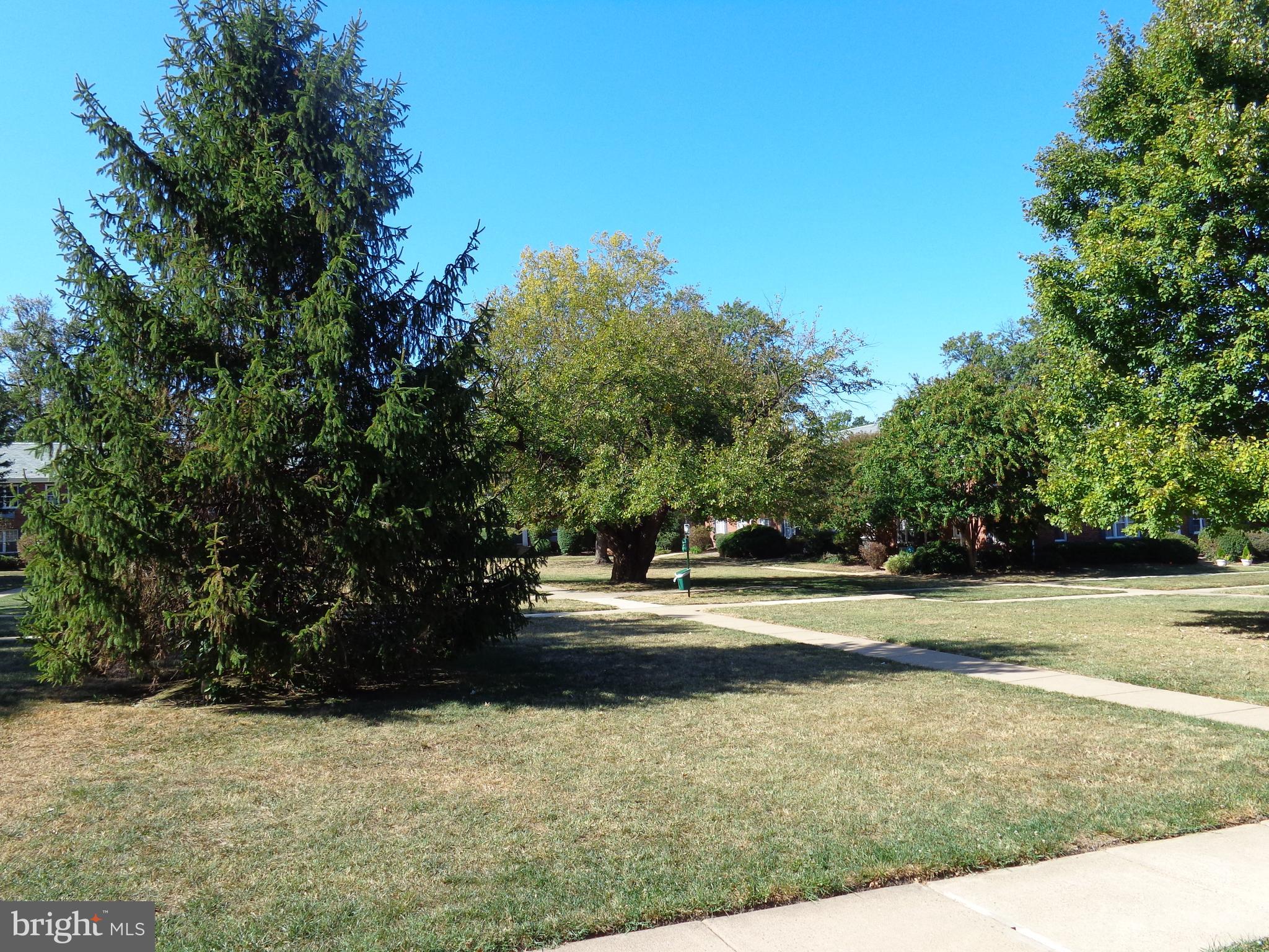 DEL RAY - Residential Lease