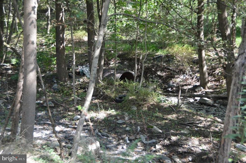 Photo of 0 S Reading Railroad, SHENANDOAH, PA 17976 (MLS # PASK2023268)