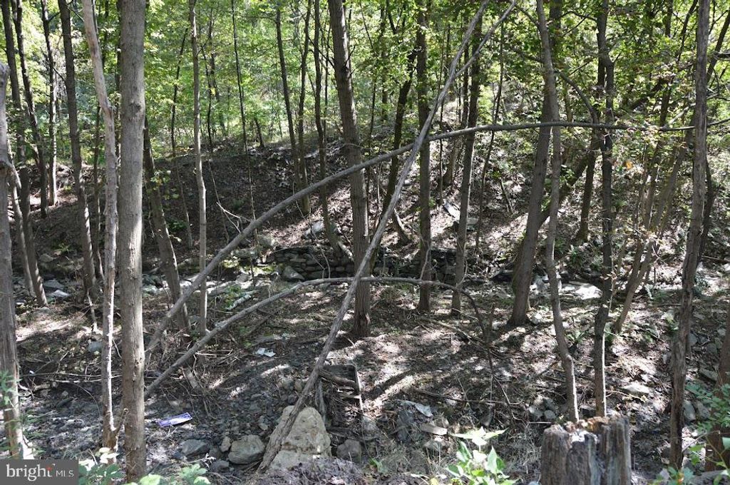 Photo of 0 S Reading Railroad, SHENANDOAH, PA 17976 (MLS # PASK2023268)