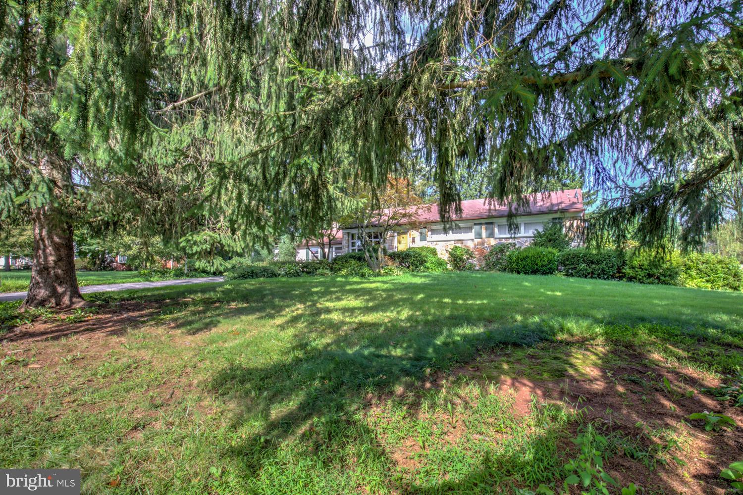 115 BUCKWALTER ROAD