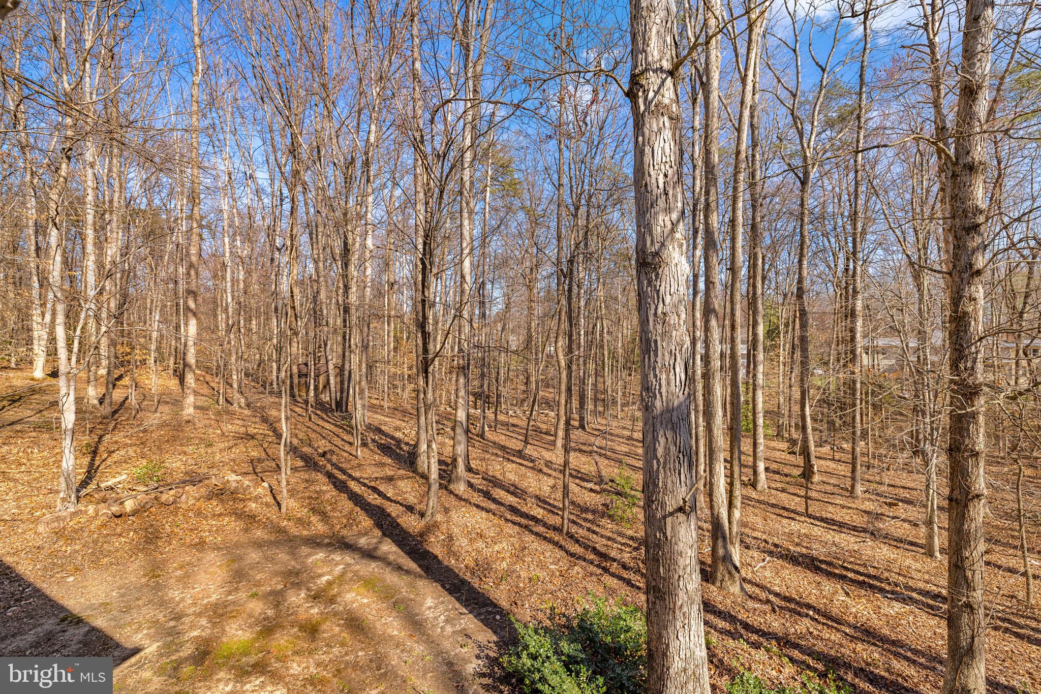 SOUTH RUN - Residential