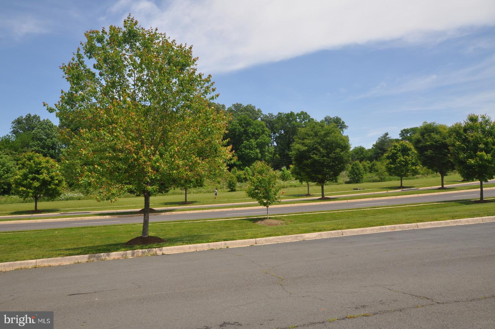 THREE FLAGS - Residential