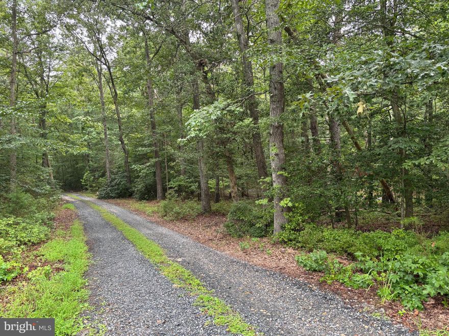 Discover Your Dream Build Site!

Look no further than this beautiful rural, wooded lot — a true oasis for your custom home. Nestled among upscale estate homes and surrounded by the serene beauty of nature, this buildable lot offers the perfect balance of privacy and convenience. Enjoy the tranquility of a peaceful setting while being just minutes from schools, shops, and major commuter routes.

Endless possibilities await to create your perfect custom home in this idyllic location. Don’t miss this rare opportunity to build your dream retreat away from the hustle and bustle!