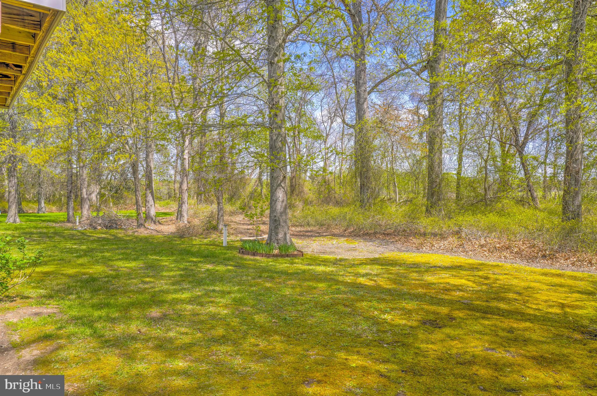 LONGVIEW - Residential