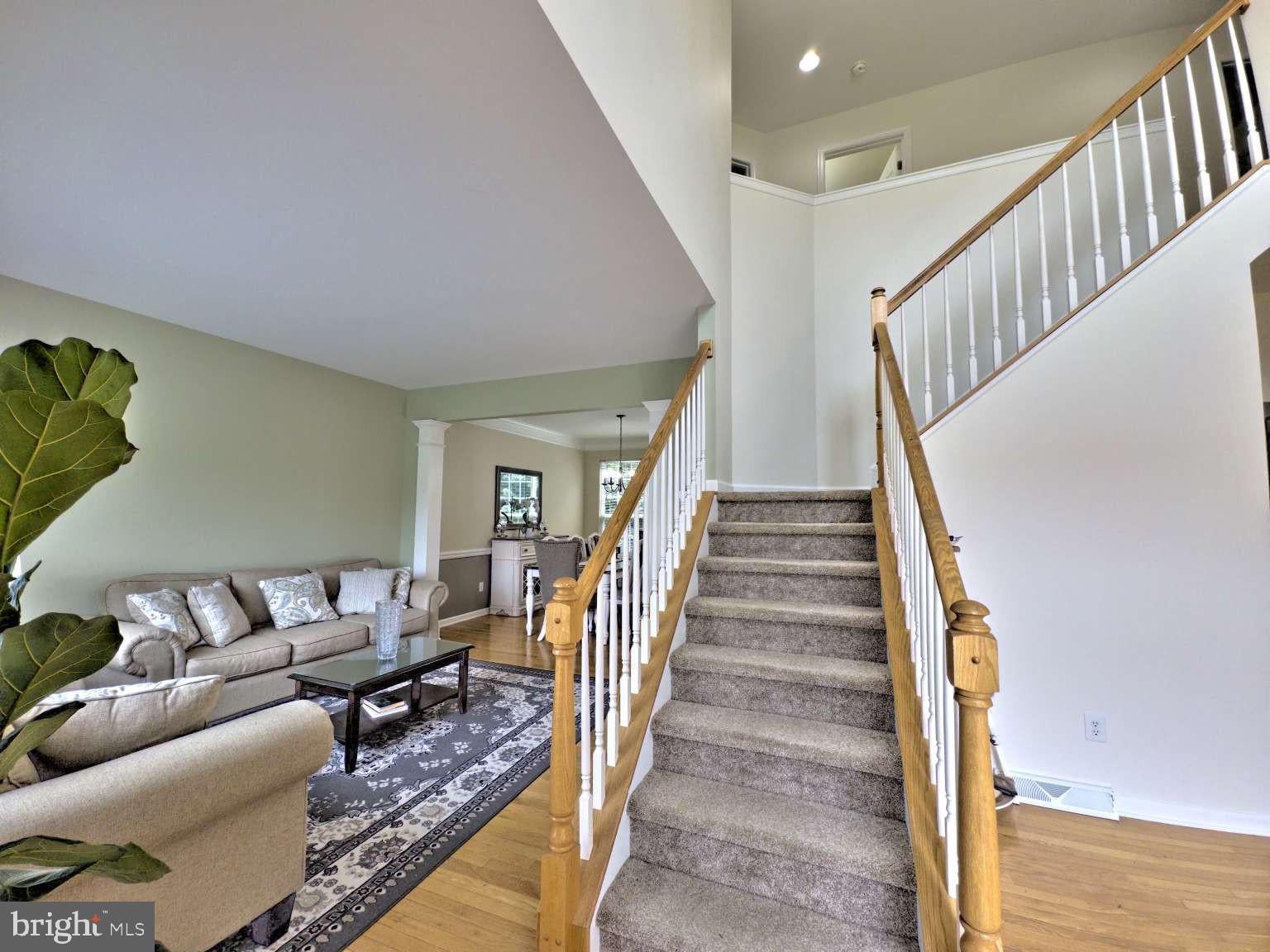 161 BELFRY DRIVE