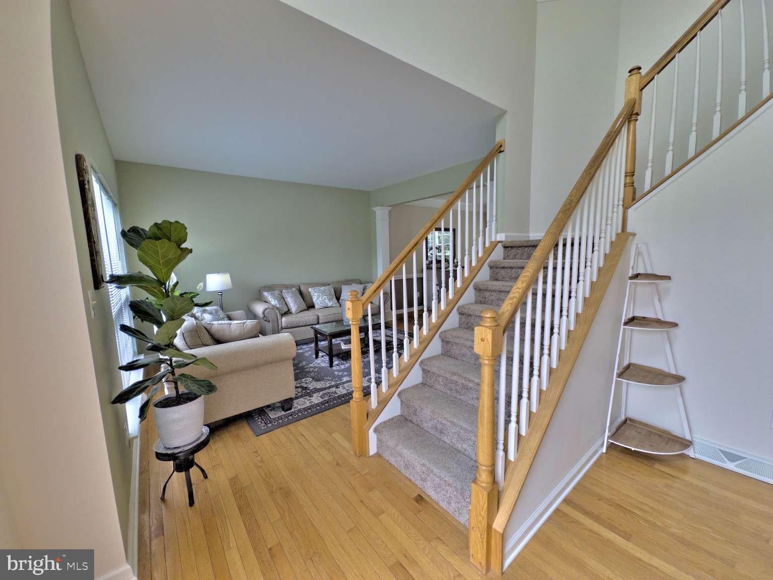 161 BELFRY DRIVE