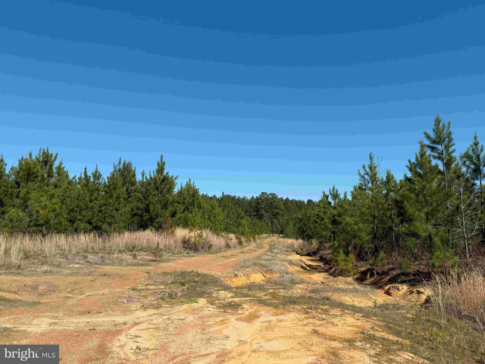 SHIPPING ROAD (TRACT: 7279 SVC)