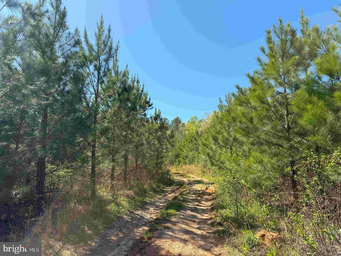 SHIPPING ROAD (TRACT: 7279 SVC)