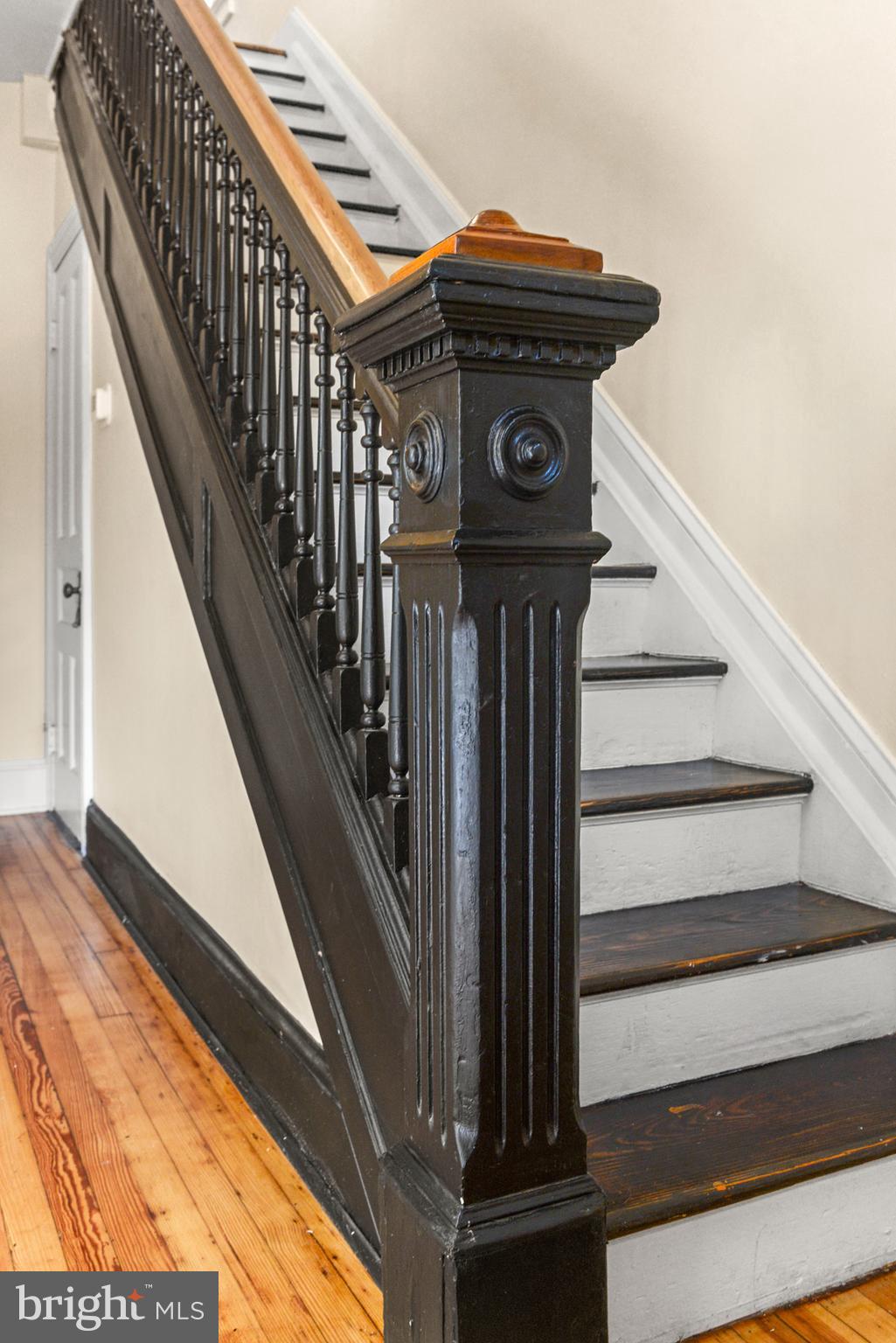 FREDERICK HISTORIC DISTRICT - Residential