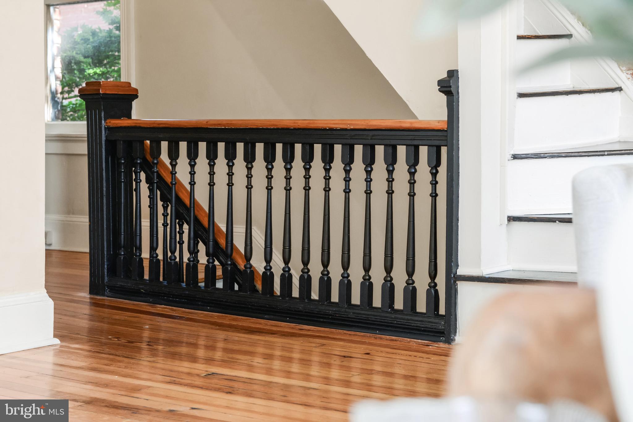 FREDERICK HISTORIC DISTRICT - Residential