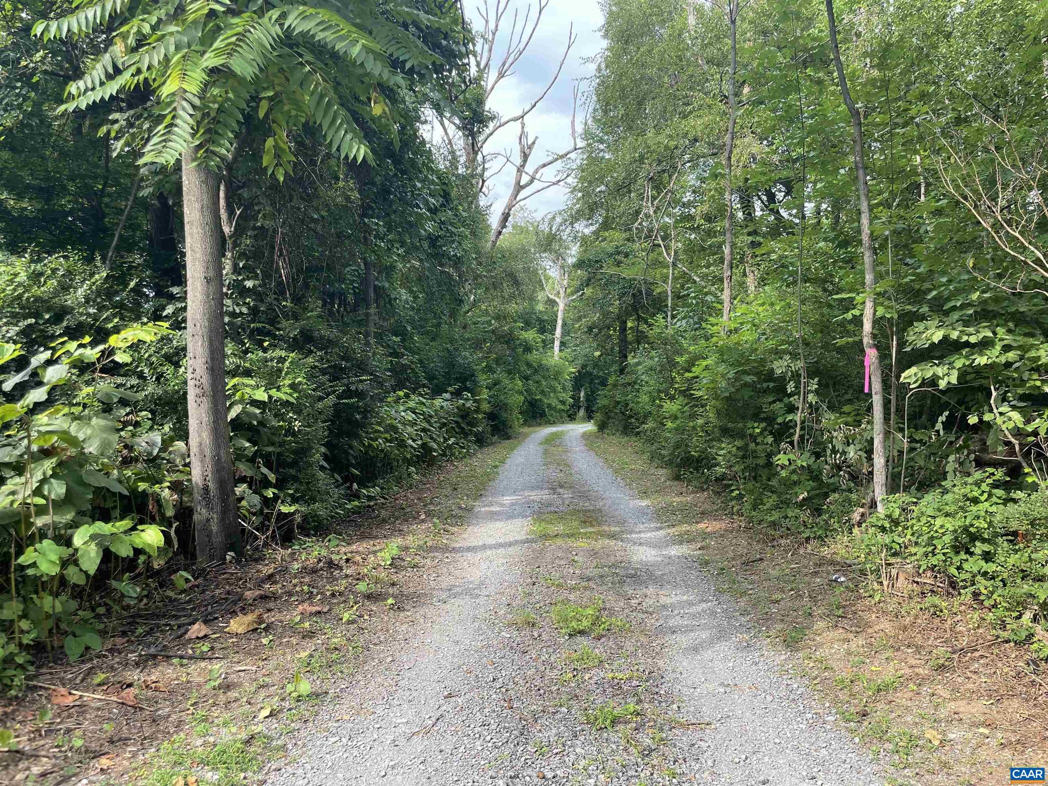 Block A Lot 1 SWANNANOA LN 1