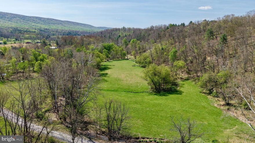 A beautiful  mountain and a flat meadow are a perfect combination for these two parcels being sold together.  Lovely stream runs across the edge of the property adding to the beauty.  Parts of the parcel are in the flood plain but there may be a spot or two that may be built on.  Wonderful area for family gatherings or possibly hunting.  These lots would be great spot for a hunting cabin or camping area.  This is a hard to find quiet, peaceful setting and a great opportunity to own a beautiful piece of property.