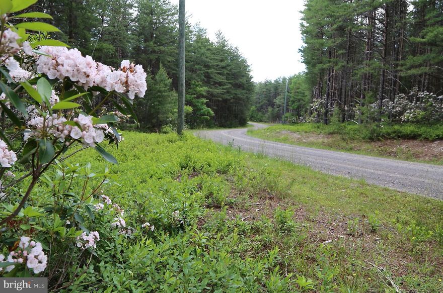 Nestled near the summit of the exclusive River Ridge community, this serene 20.94-acre forested lot awaits. In summer, the roadside blooms with Mountain Laurel, while autumn paints the ridge with vibrant colors, and winter blankets the landscape in quiet, beautiful snowfalls. Whether you envision a tranquil campsite or your dream retreat, this location offers the perfect setting.

Conveniently located just a 15-minute drive from Wardensville, you can explore quaint shops, enjoy fresh produce from local farmers' markets, or savor a delicious meal. For more extensive options, Winchester, VA, is a mere 40-minute drive away, and the DC area is accessible in under two hours. Call to schedule your visit!