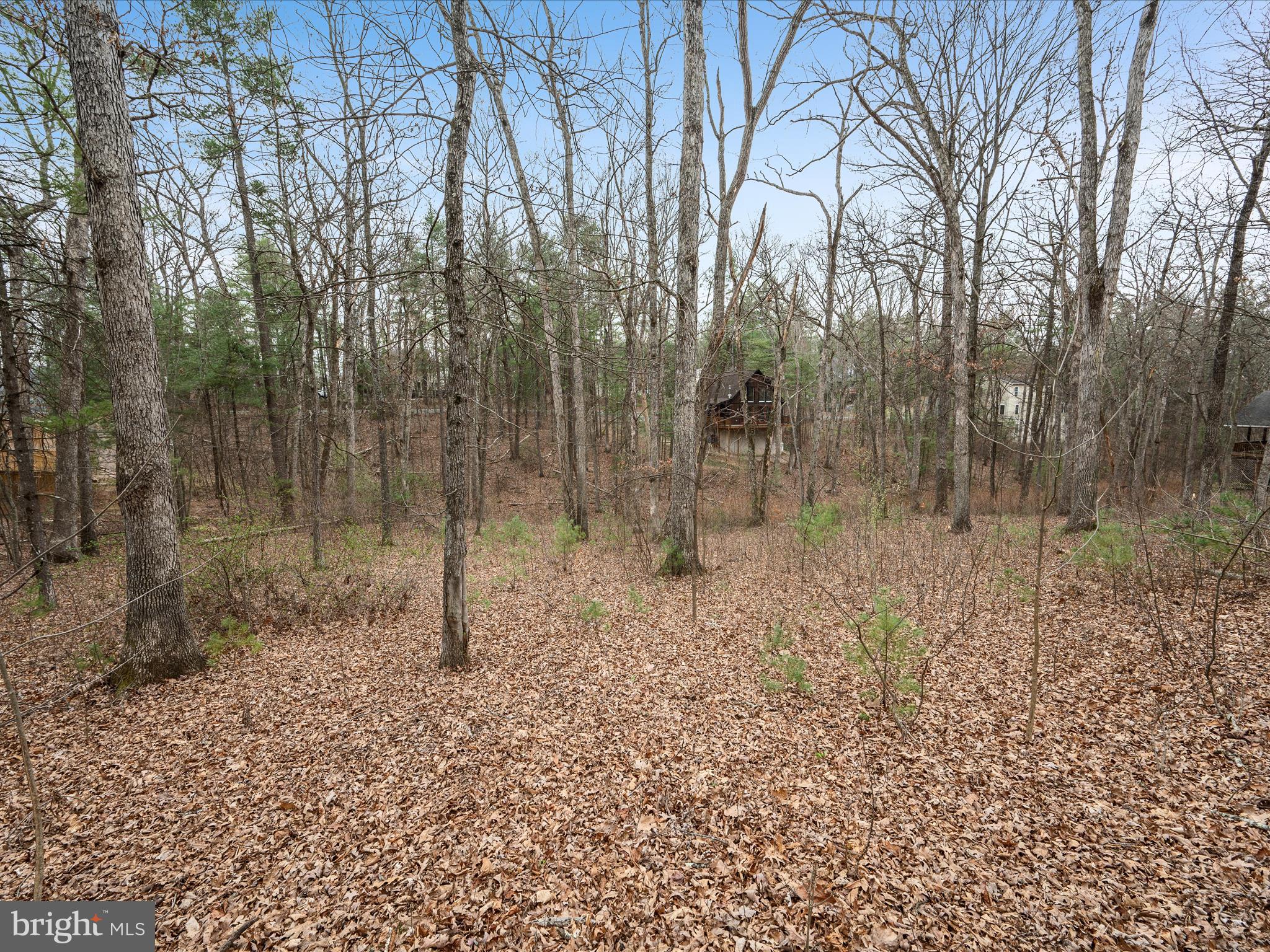 BRYCE MOUNTAIN - Land