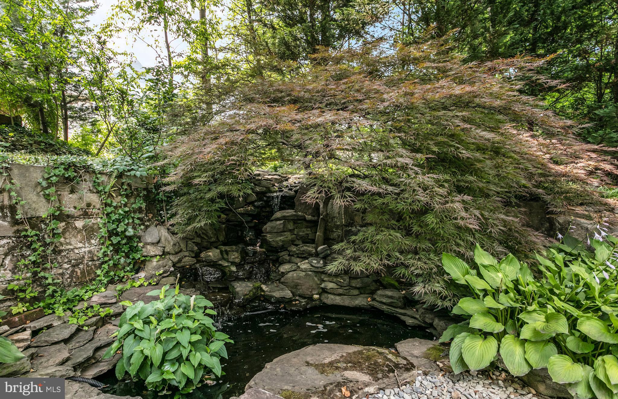 BELLEVUE FOREST - Residential