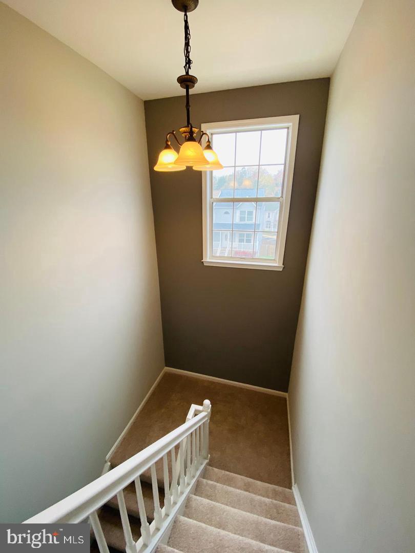 SUNNINGDALE MEADOWS - Residential