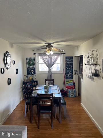 15 HARTRANFT AVENUE