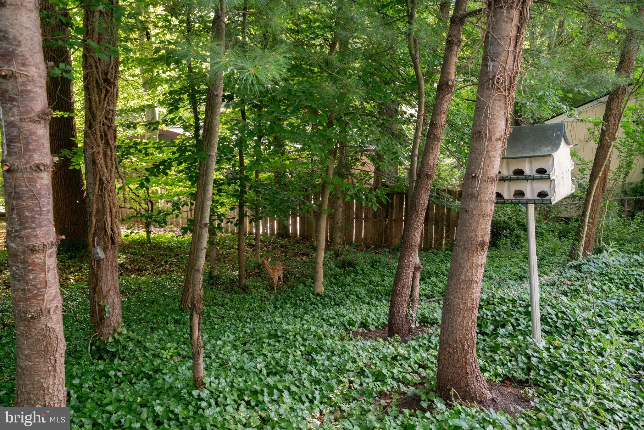 Additional image 158 of 4920 Baffin Bay Lane, Rockville, MD 20853