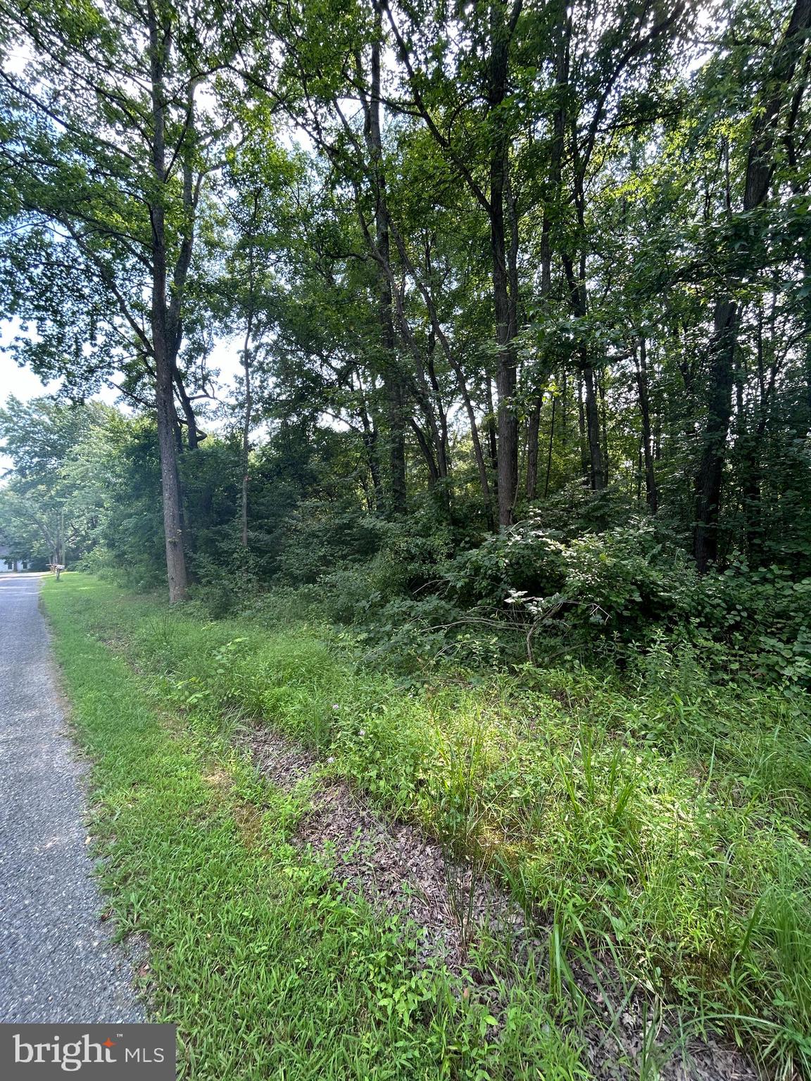 CHESTERVILLE FOREST ROAD PARCEL 60