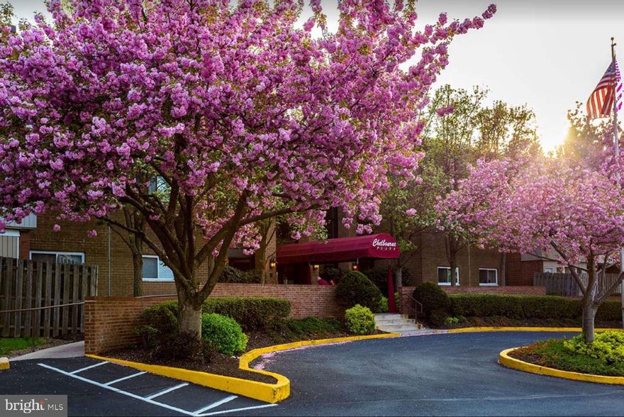 FOR SALE �� BUY / RENT / RENT TO OWN / OWNER'S FINANCE AVAILABLE - 

                 Spacious 2BR/2BA Condo in Chelbourne Plaza, Elkins Park

🏡 Condo #215 – 46 Township Line Rd, Elkins Park, PA 19027
Welcome to Chelbourne Plaza, a well-maintained, elevator building in the heart of Elkins Park! This bright and spacious 2-bedroom, 2-bathroom unit offers approximately 1,200 sq ft of comfortable living space.

✨ Features include:

Open and airy layout with generous room sizes

Large living and dining area with abundant natural light

Ample closet space and storage throughout

Two full bathrooms

On-site laundry and secure entry

Professionally managed building with elevator and lobby

🛏️ Ideal for homeowners or investors looking for a low-maintenance property in a convenient location near shops, public transportation, and major roadways.

📣 Other similar 2BR/2BA units available on different floors – inquire for details!

💰 Schedule a private showing today and discover your new home or investment opportunity!