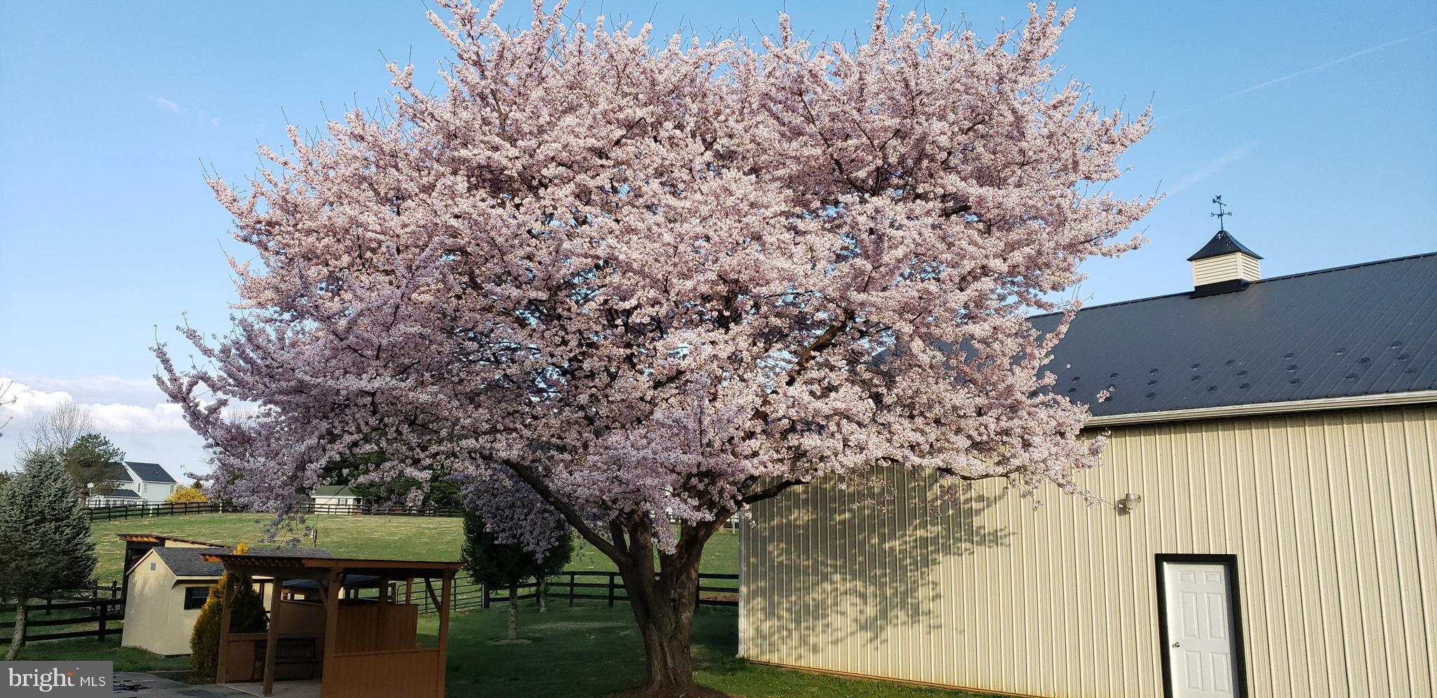 WHEATLAND ESTATES - Residential