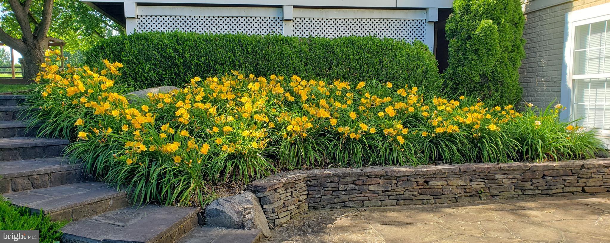 WHEATLAND ESTATES - Residential