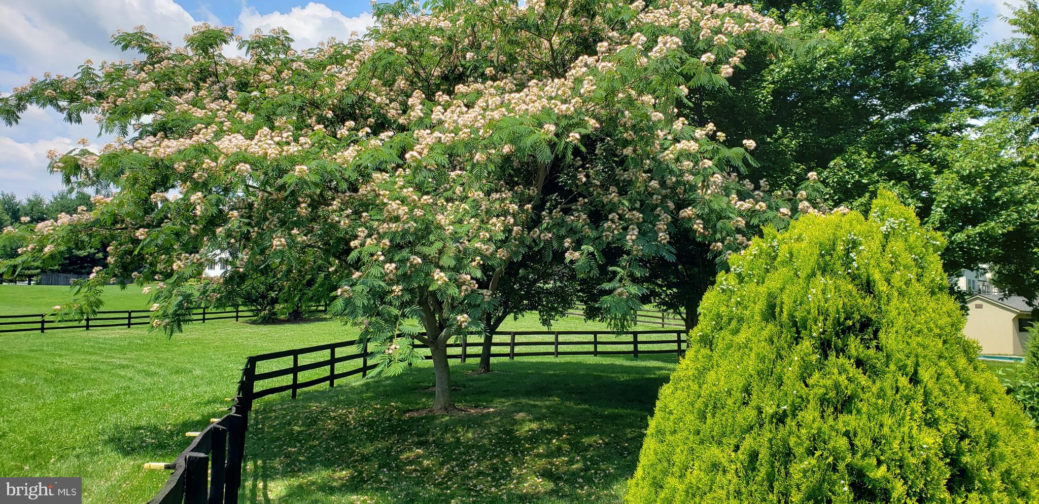 WHEATLAND ESTATES - Residential