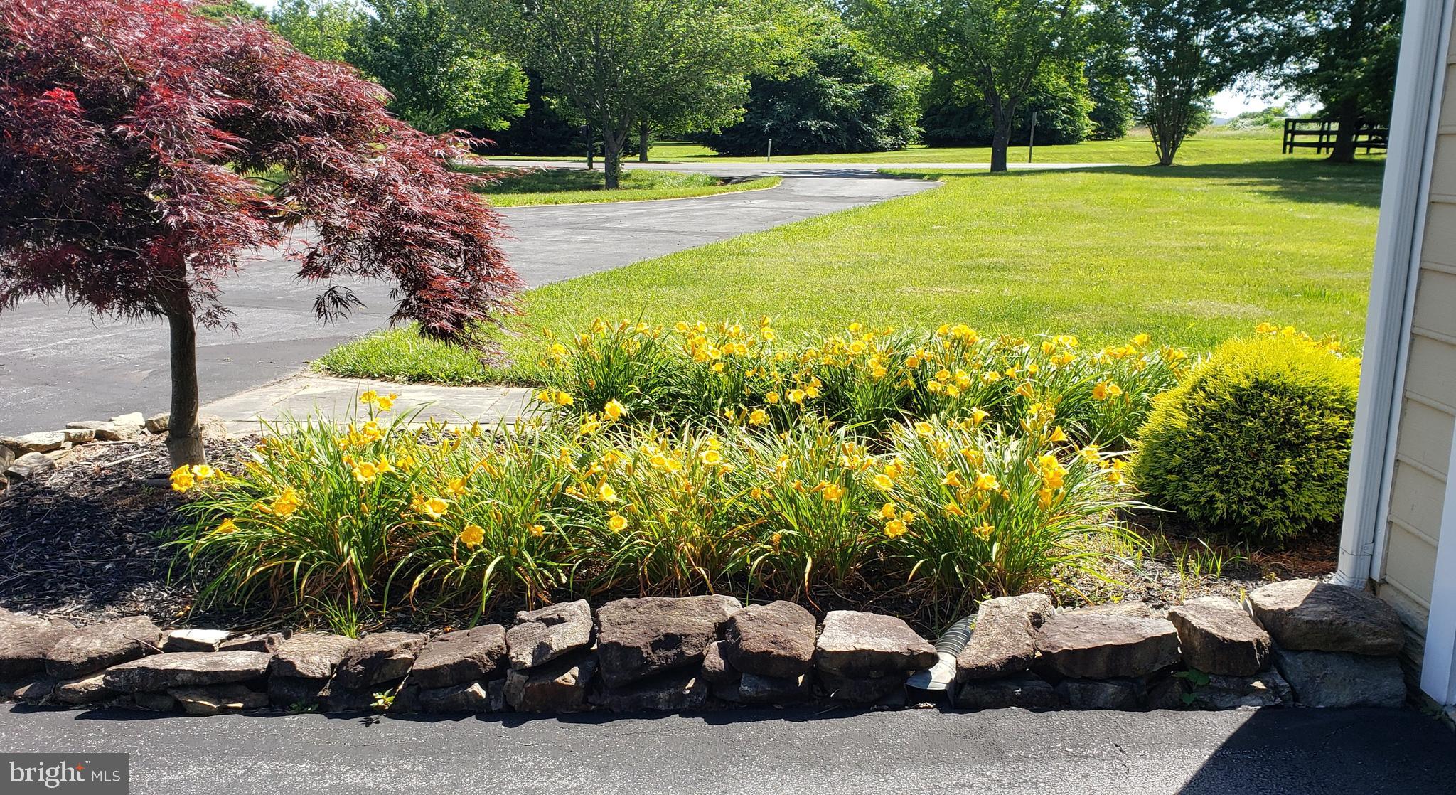 WHEATLAND ESTATES - Residential