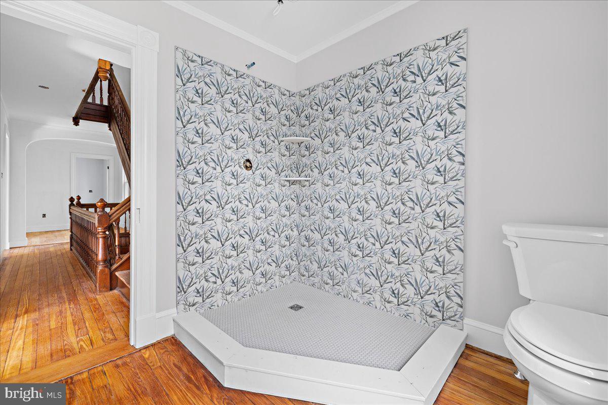 CHESTERTOWN HISTORIC DISTRICT - Residential