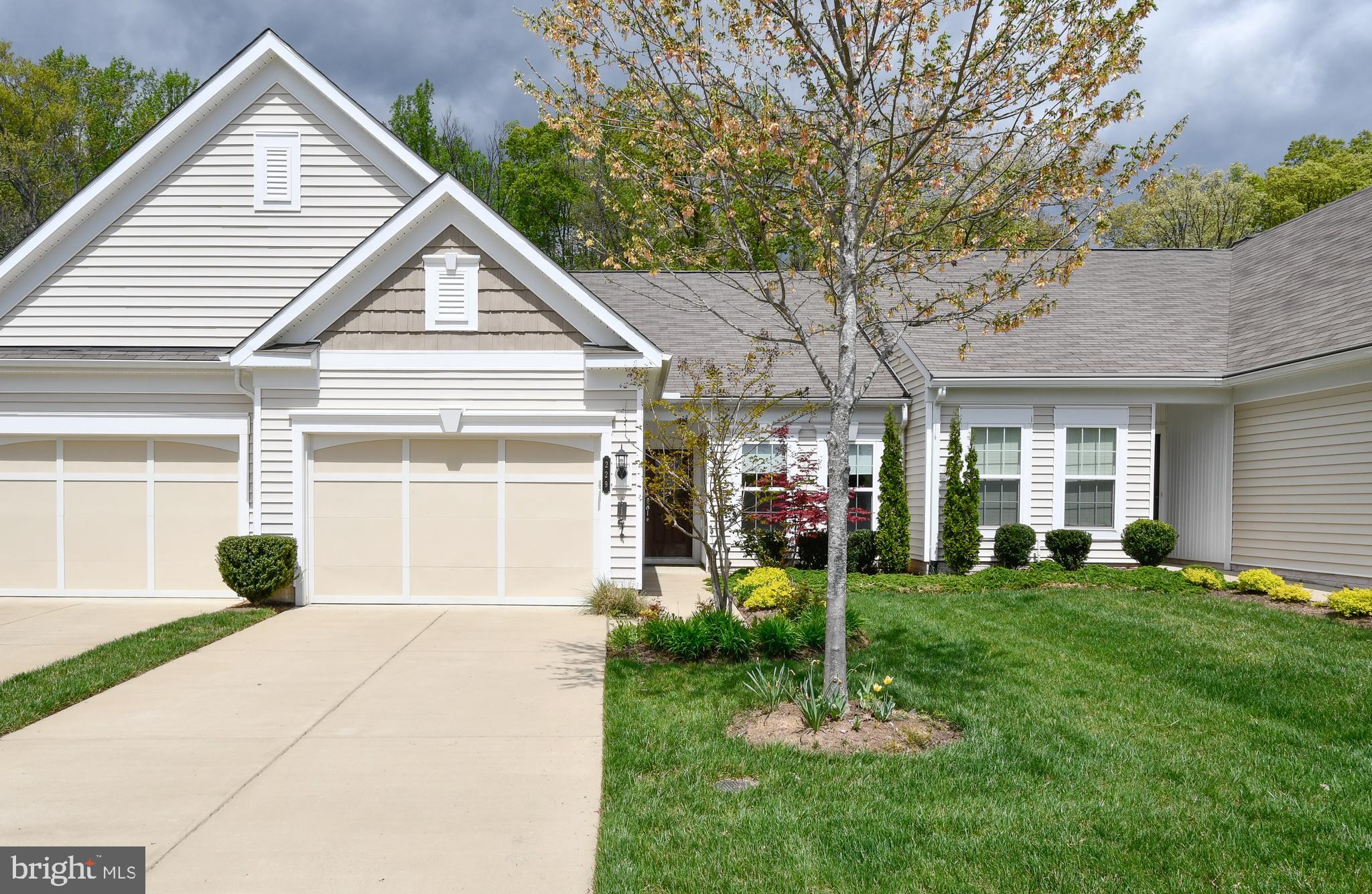 CELEBRATE - Residential