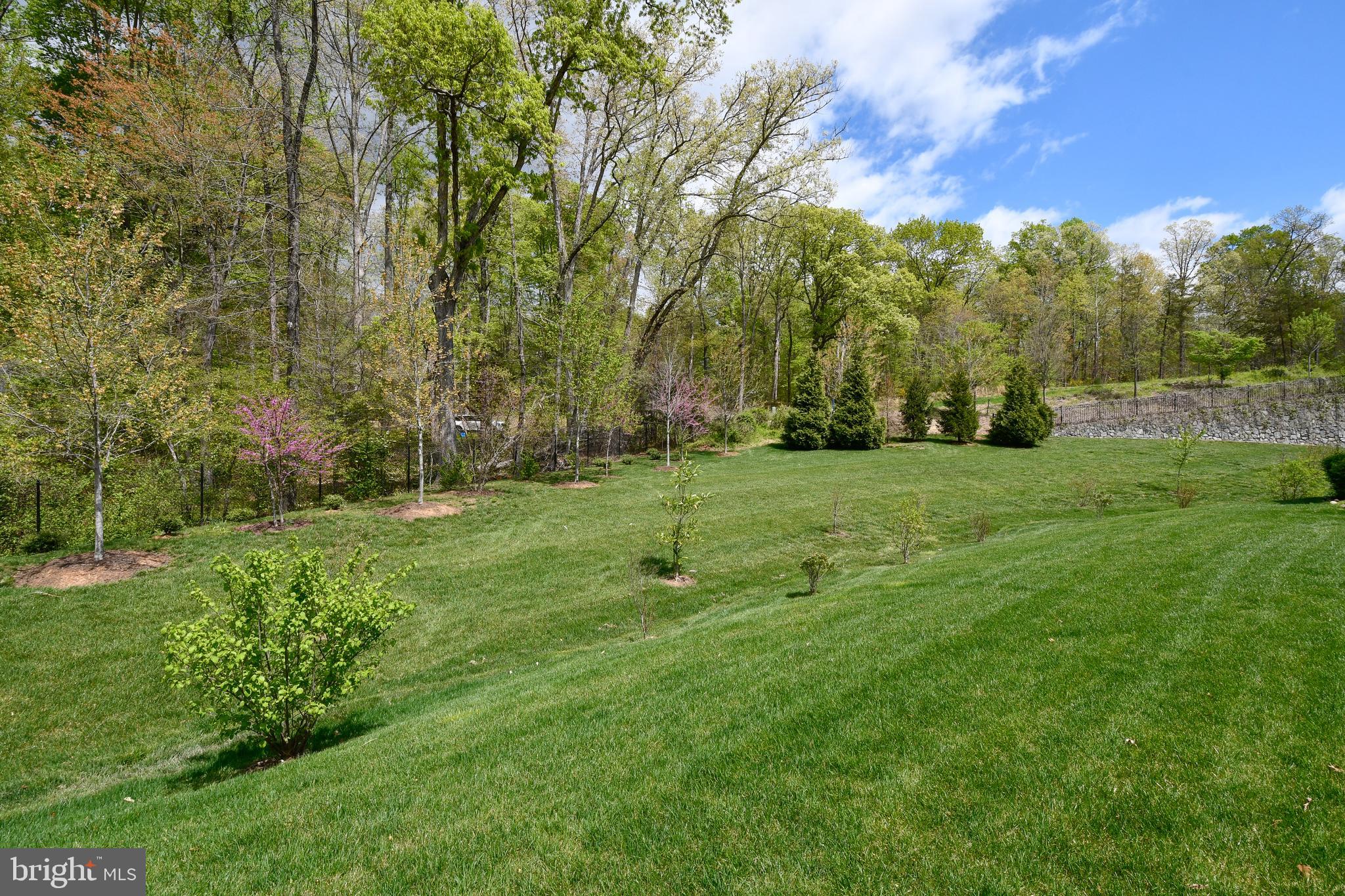 CELEBRATE - Residential