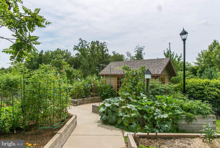 CELEBRATE - Residential