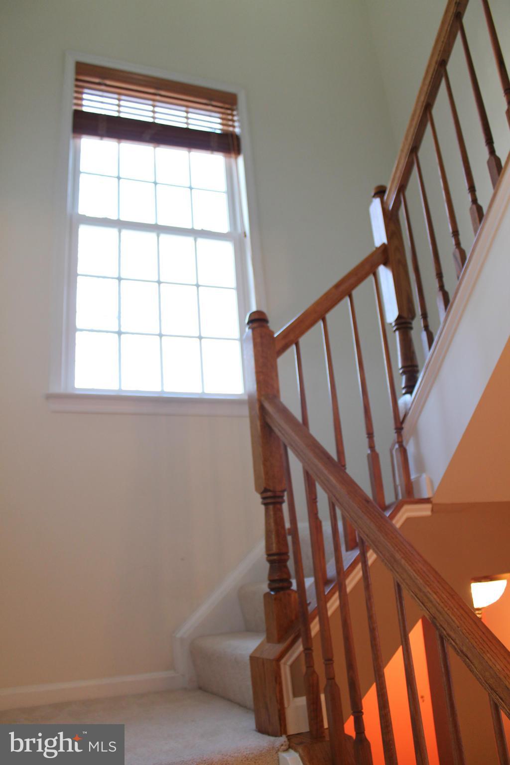 GROVE AT HUNTLEY MEADOWS - Residential