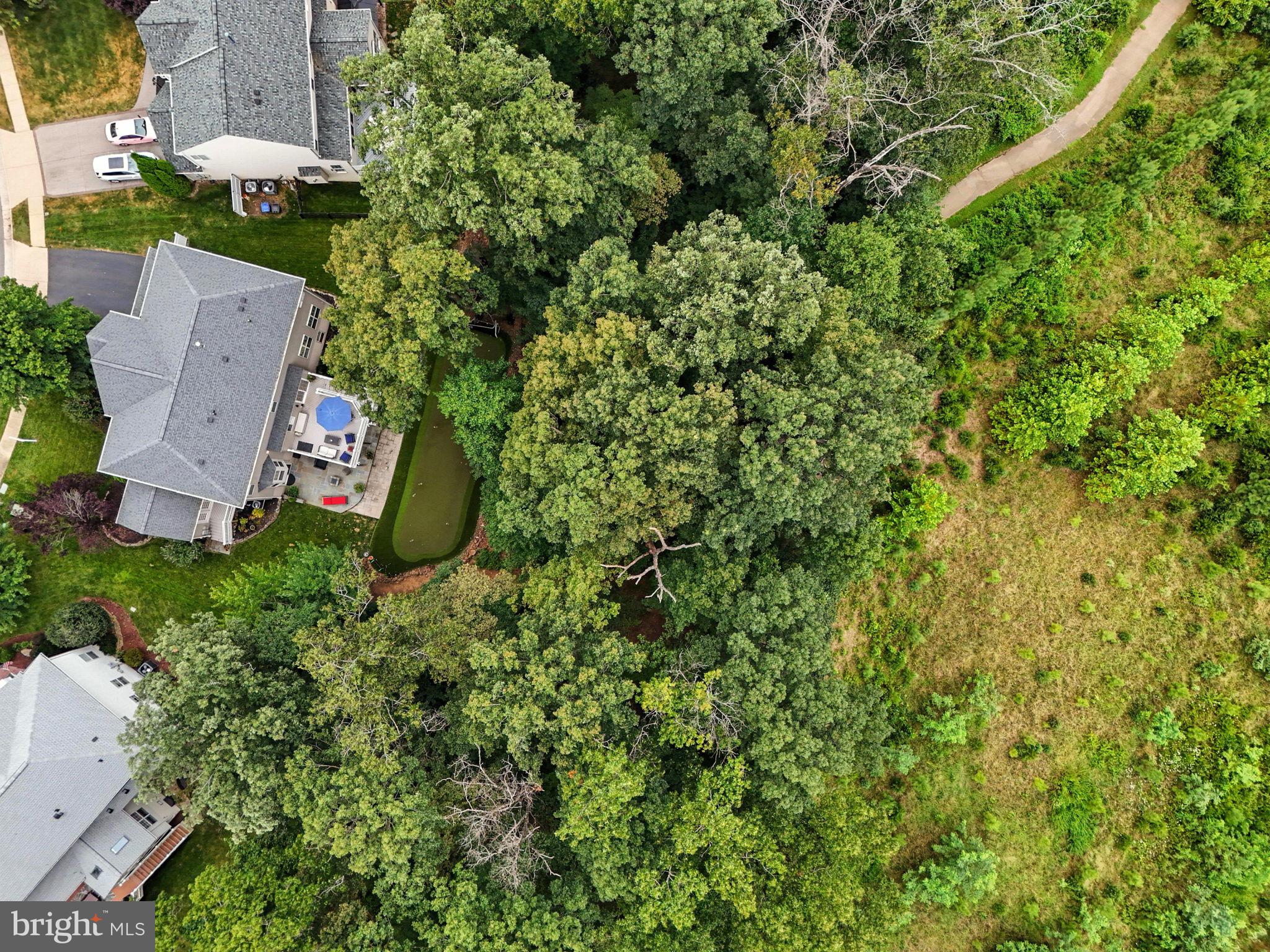 12208 SOUR GUM COURT