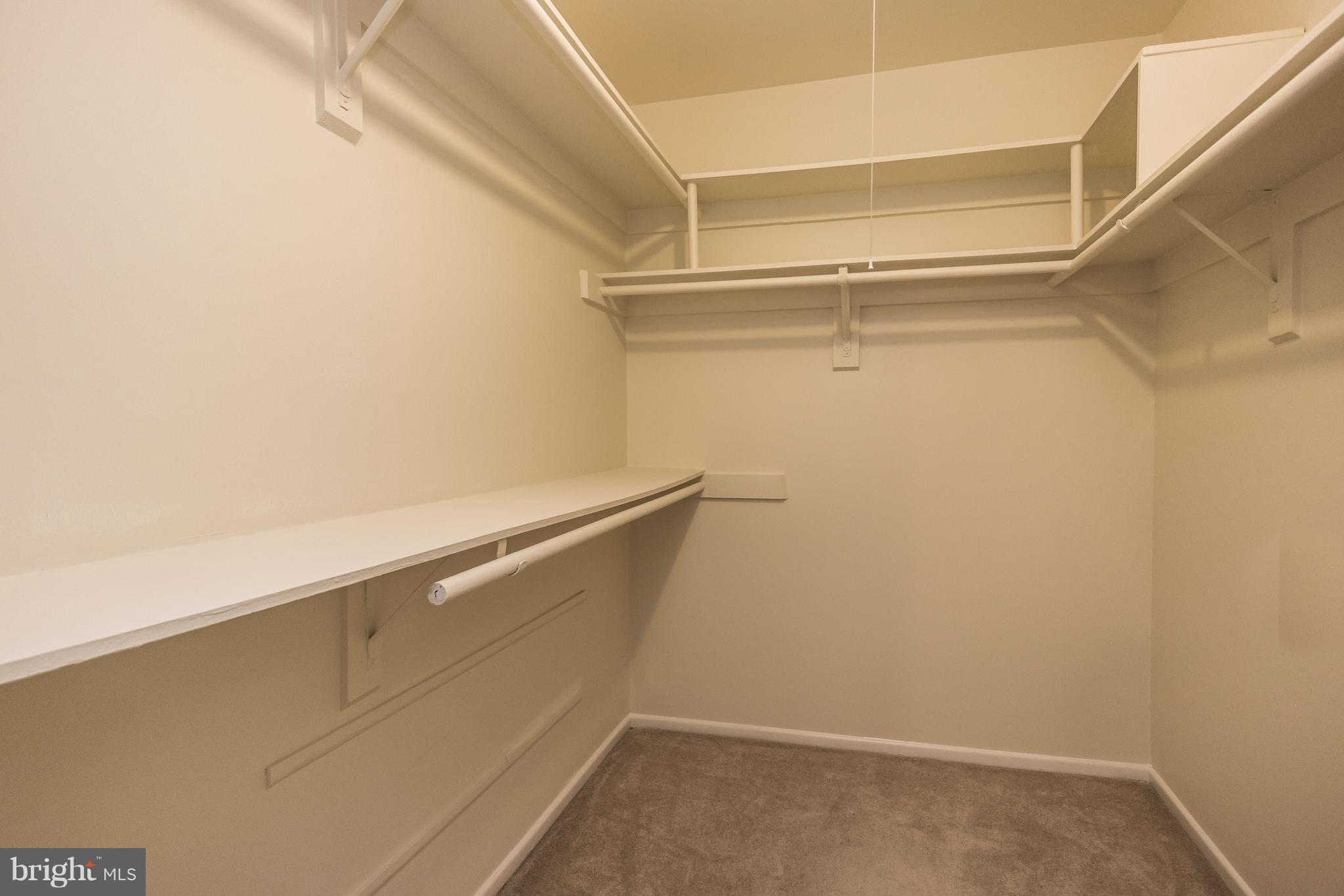 RIVA COMMONS - Residential Lease