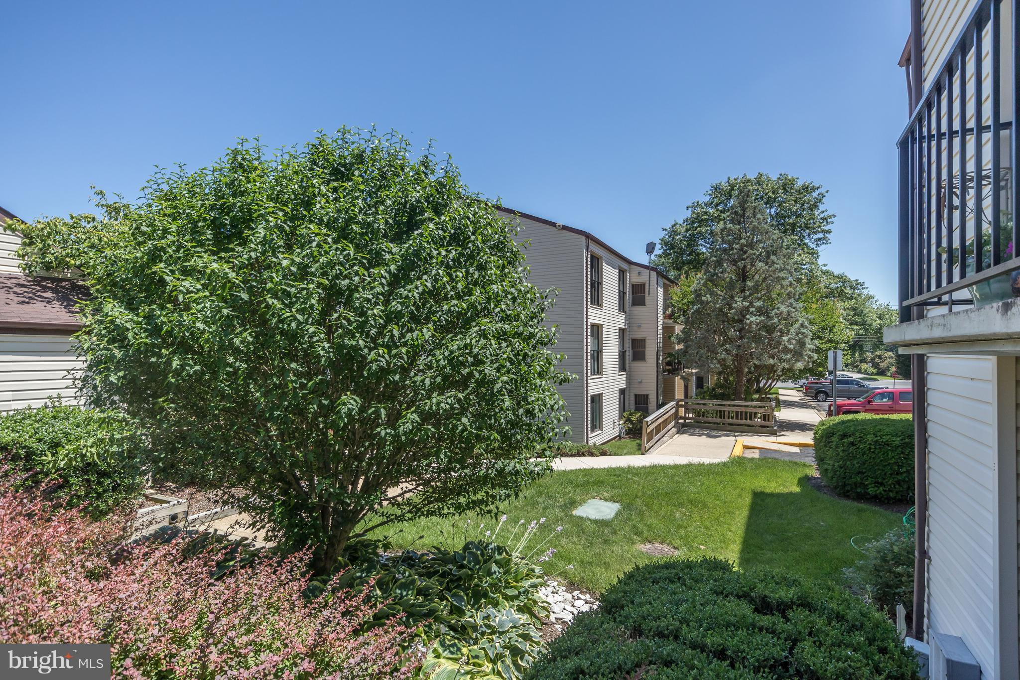 RIVA COMMONS - Residential Lease