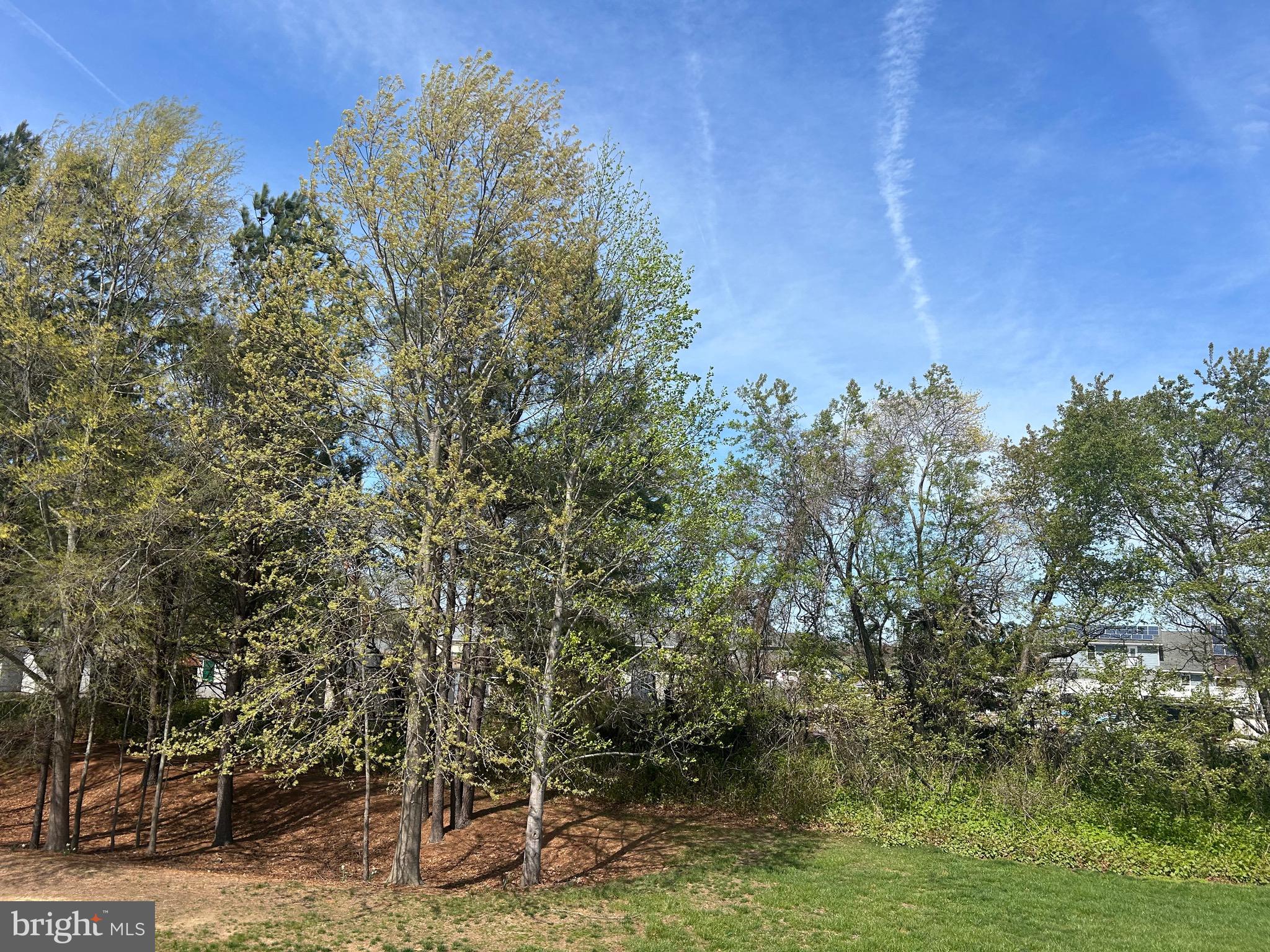 PAYNTERS MILL - Residential