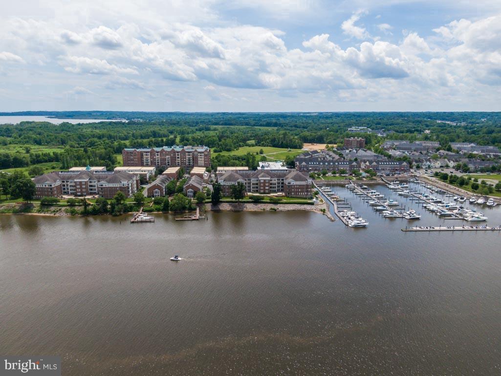 HARBOR POINT EAST CONDO - Residential