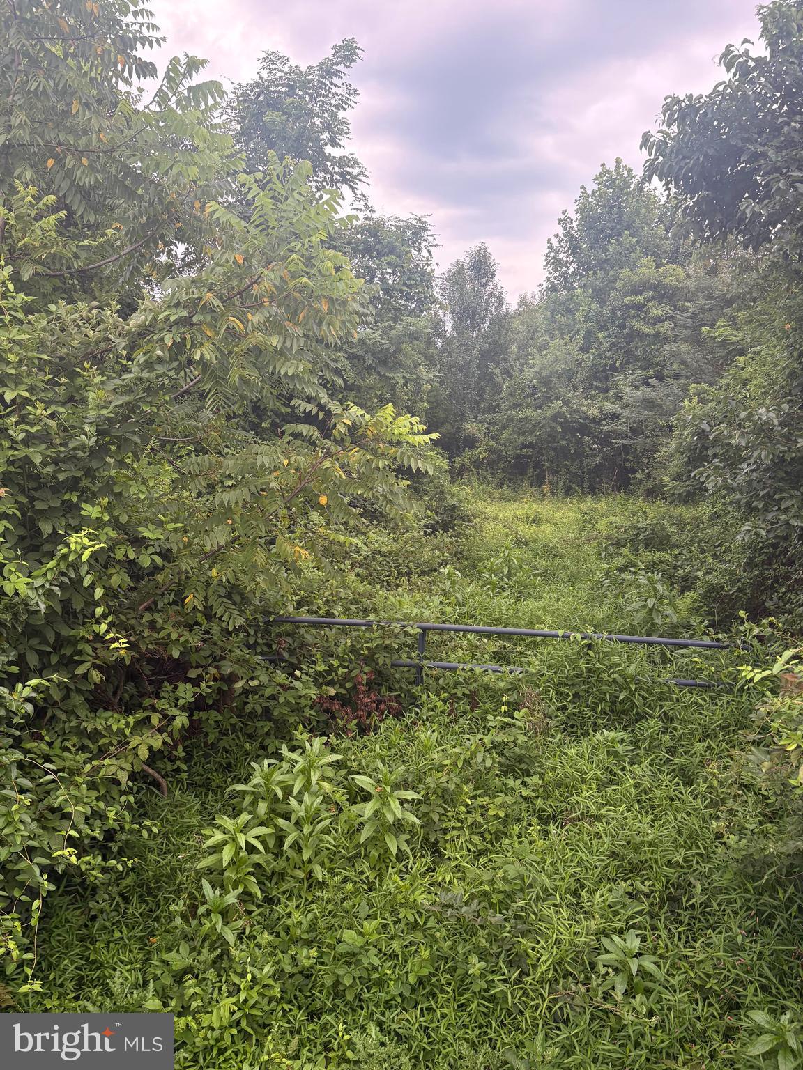3641 GREGG ROAD