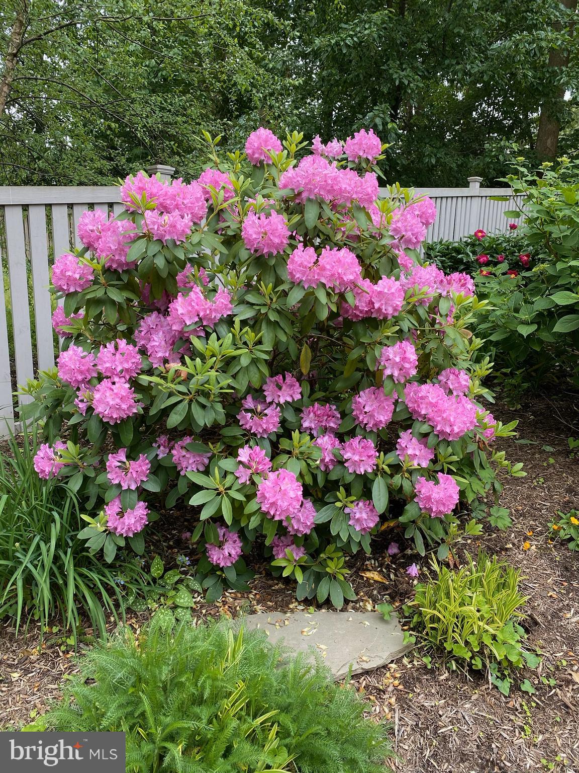 ADMIRAL HEIGHTS - Residential