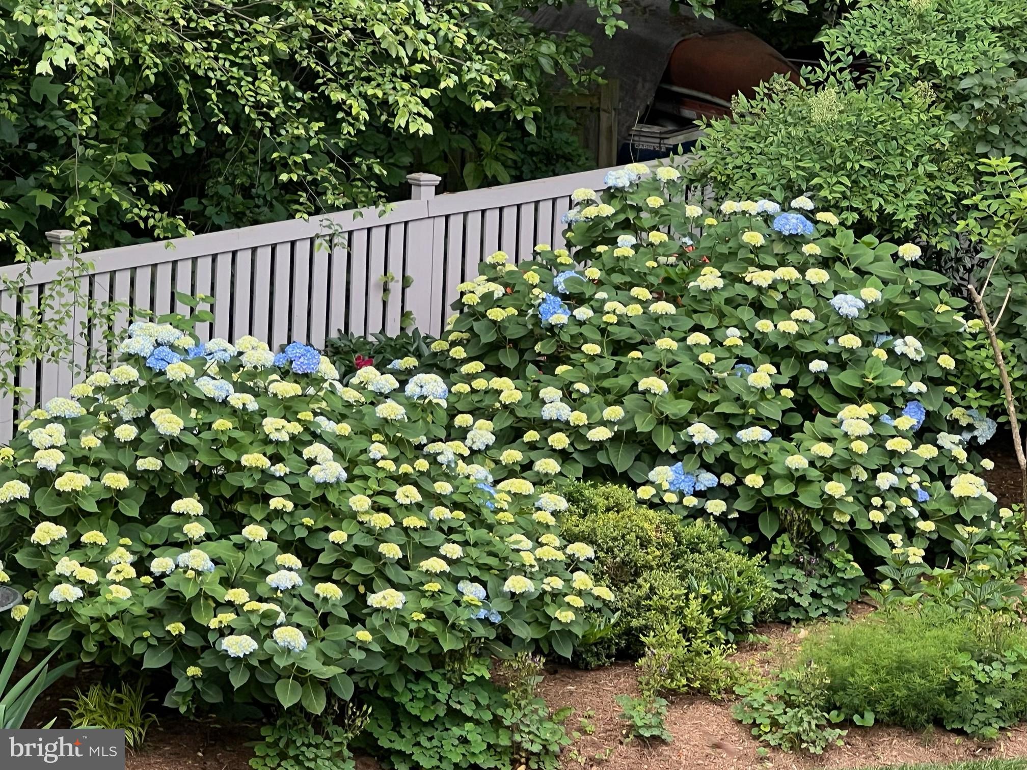 ADMIRAL HEIGHTS - Residential