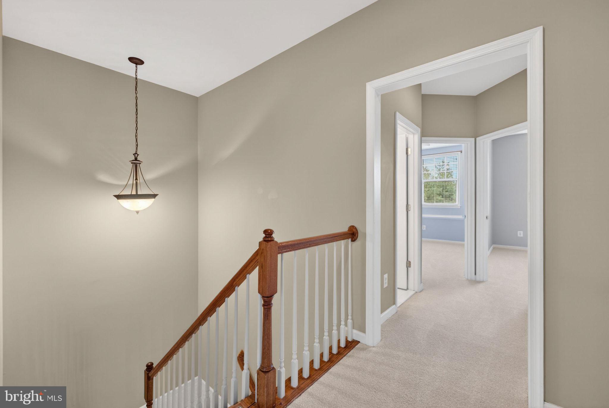 MEADOWS AT MORRIS FARM - Residential